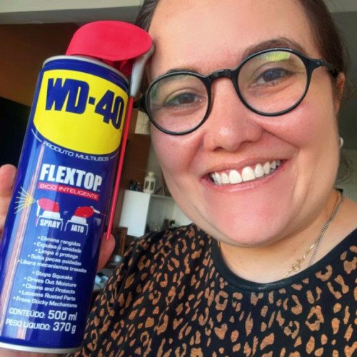 Rainha do Reparo com WD-40