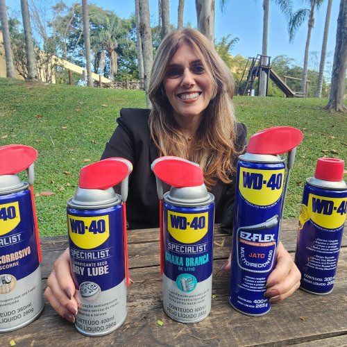 WD-40 em Ação: Do Rangido à Solução