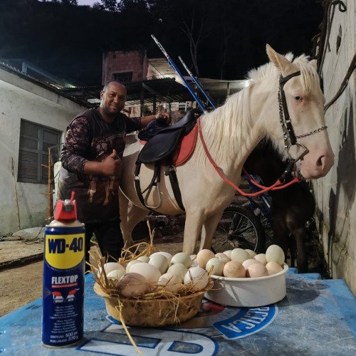 WD-40 Limpa e hidrata couro!