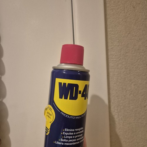 Rugido aqui não!